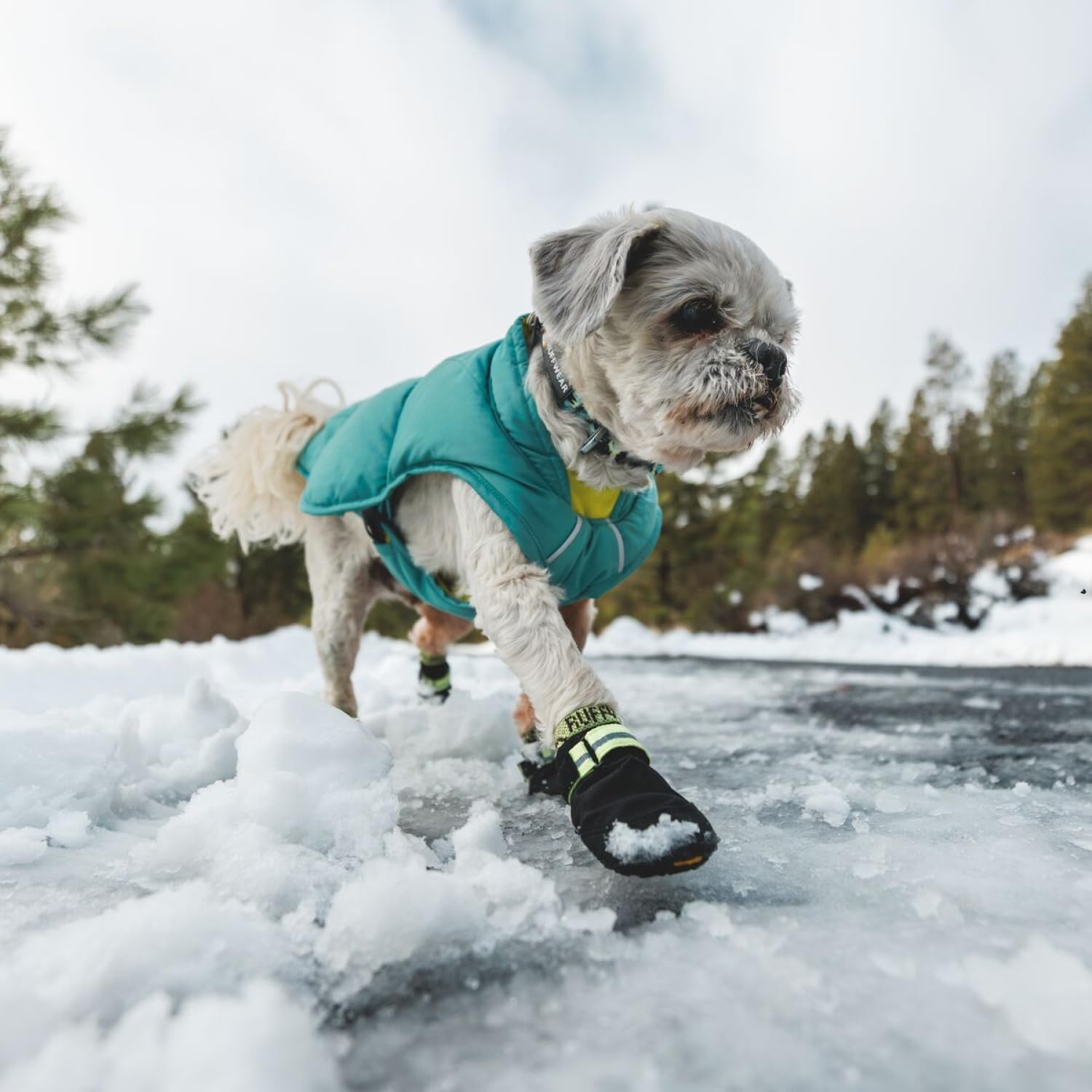 Ruffwear Summit Trex détail réfléchissant pour meilleure visibilité
