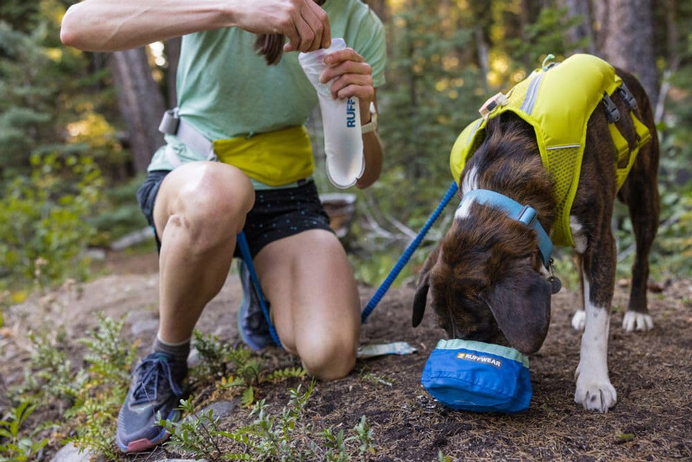 Ruffwear intérieur propre après rinçage, entretien rapide et hygiénique