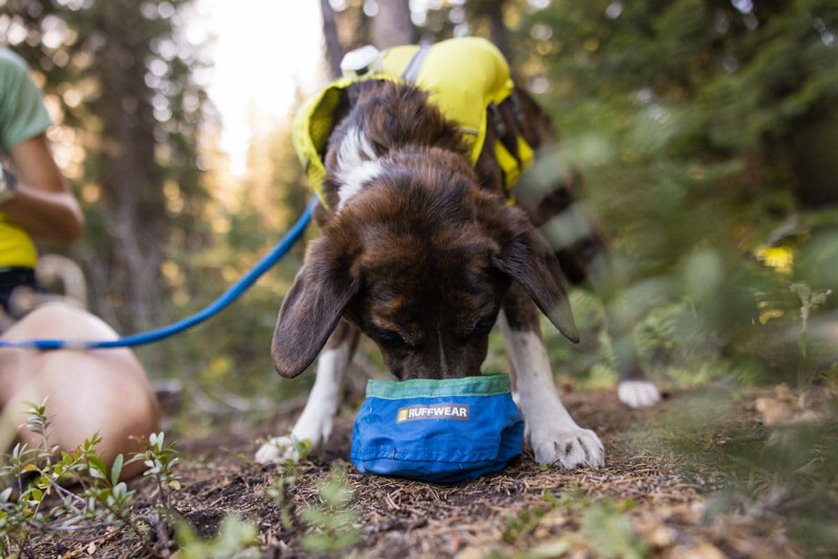 Ruffwear bol replié dans une poche de veste, gain d'espace pratique