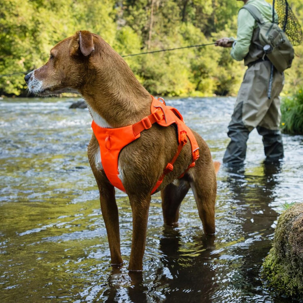 Ruffwear panneau poitrine détaillé, répartition confortable de la charge