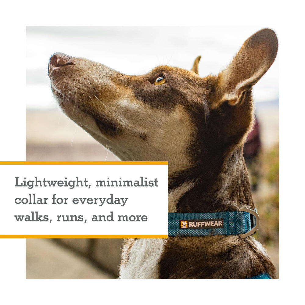 Ruffwear gros plan sur le web ultraléger montrant la texture résistante