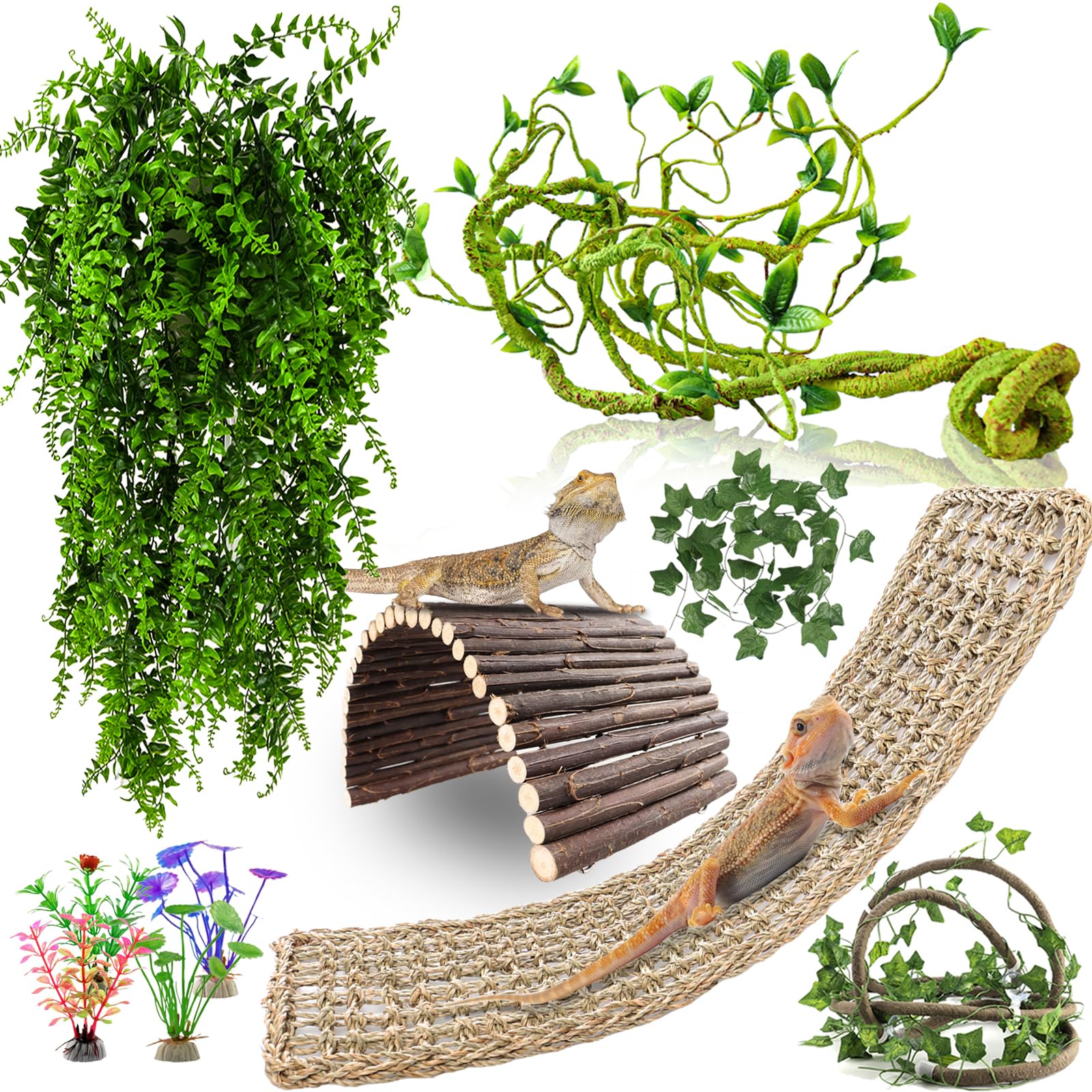 RUNANIA ensemble complet montrant tout le kit pour enrichir habitat