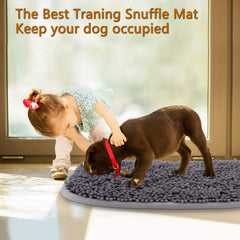 Rundik chien fouillant tapis, stimulation mentale et occupation bénéfique