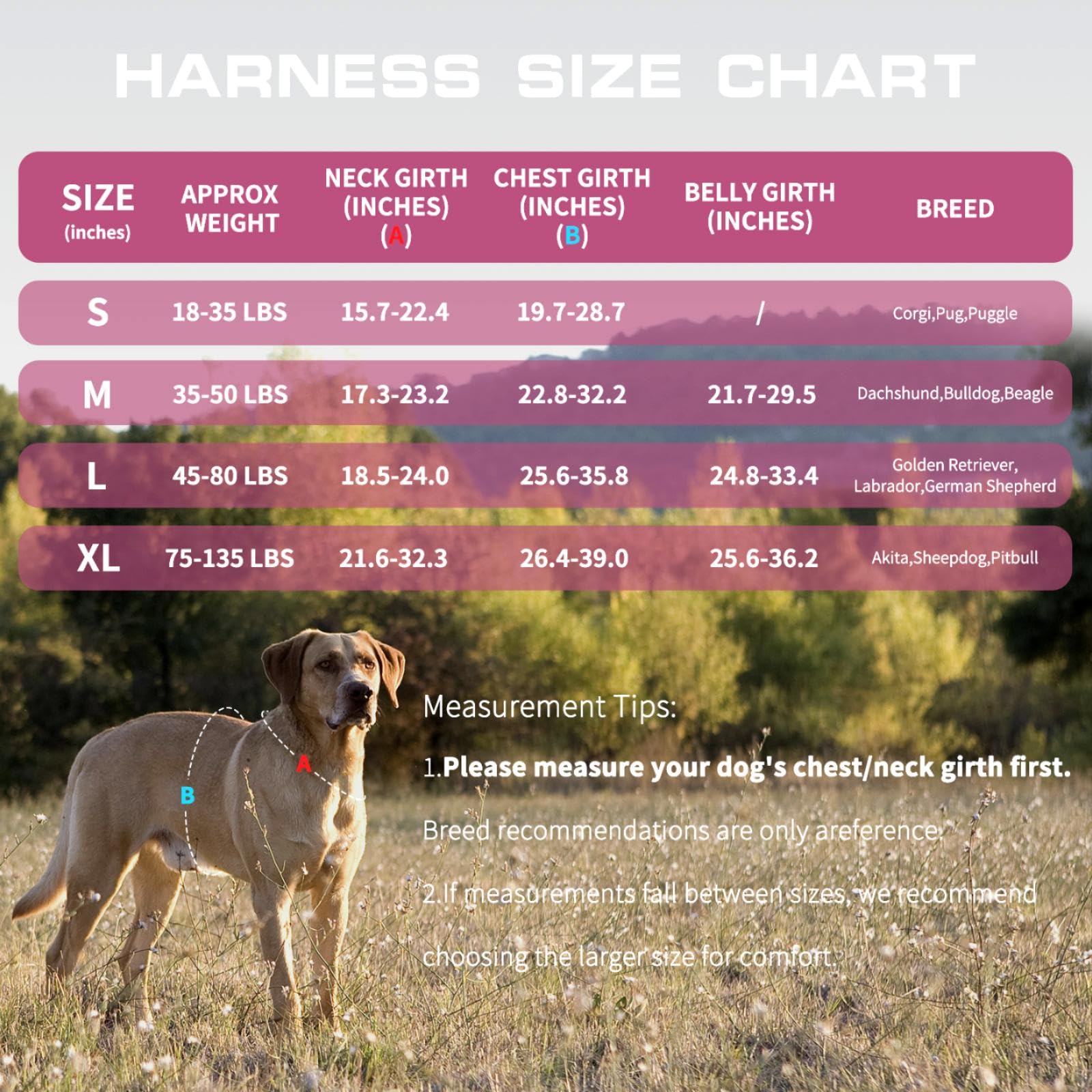 RunFido bandes réfléchissantes améliorant visibilité nocturne