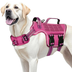 RunFido gilet face avant montrant maintien et confort