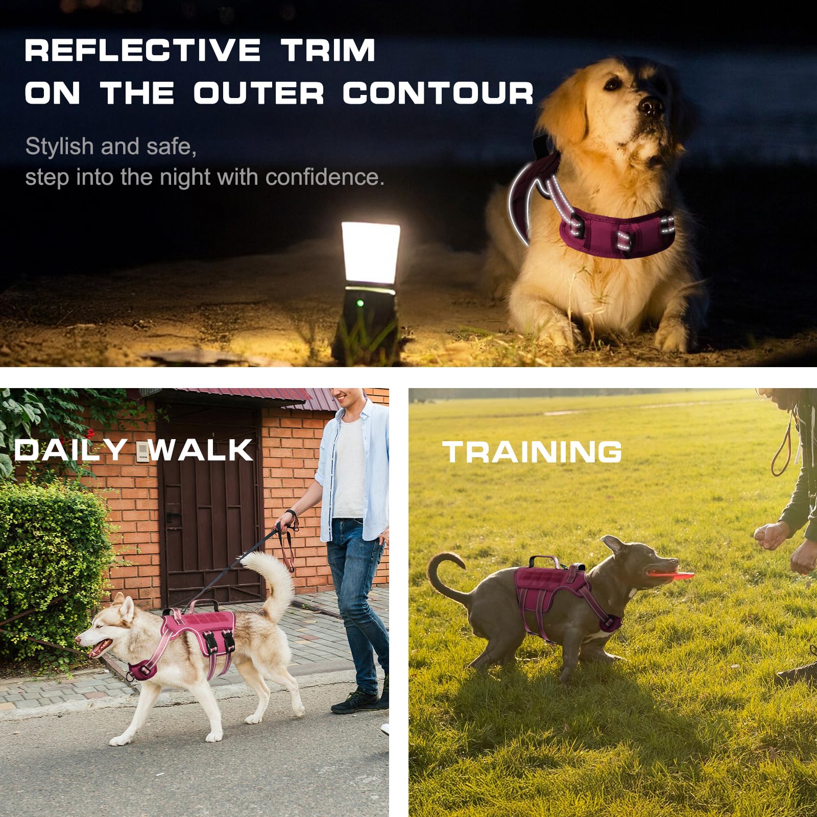 RunFido anneau arrière pour promenades détendues et attache simple