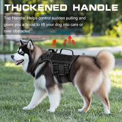 RunFido harnais boucles rapides visibles pour enfilage rapide et pratique