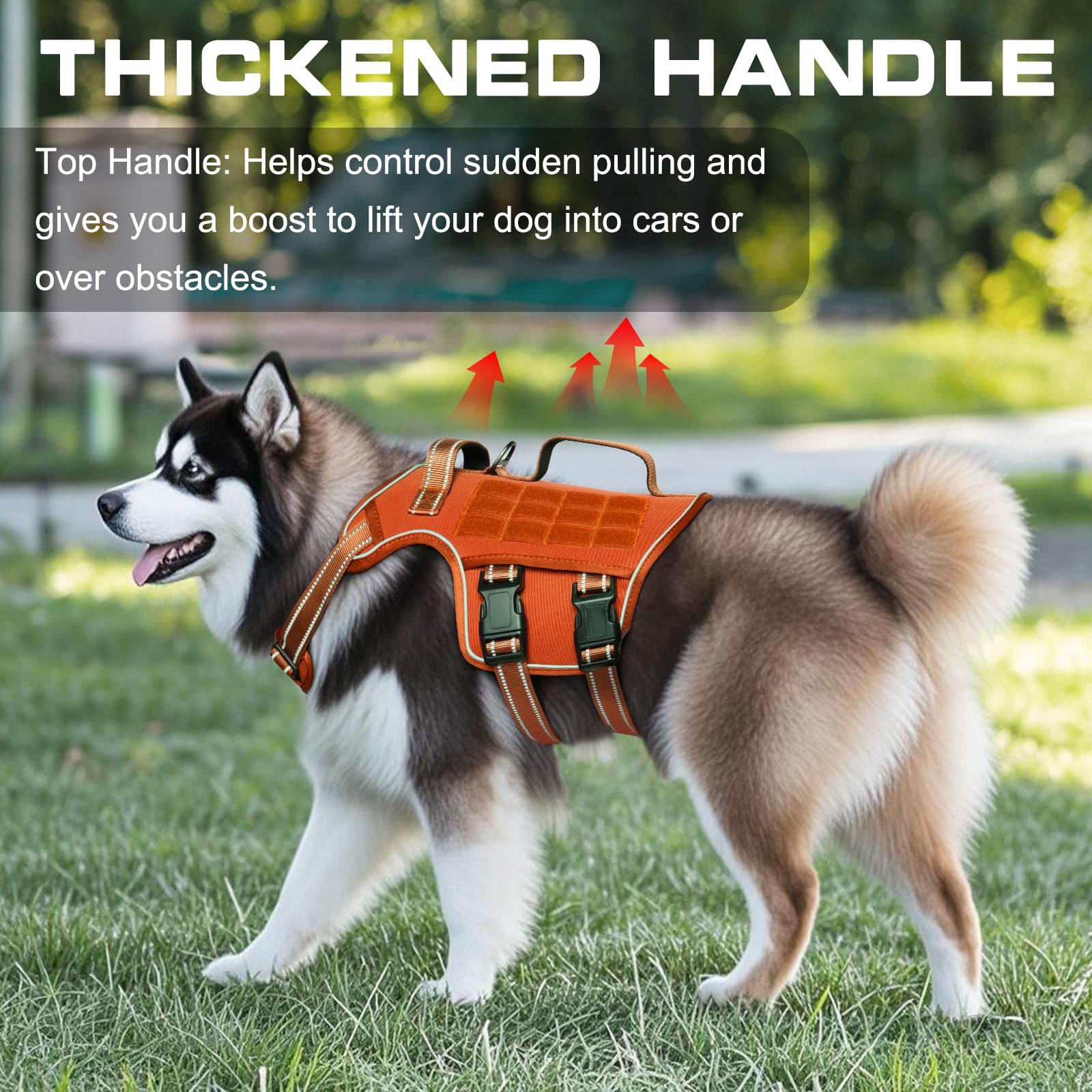 RunFido harnais vue dos avec poignées pour meilleur contrôle