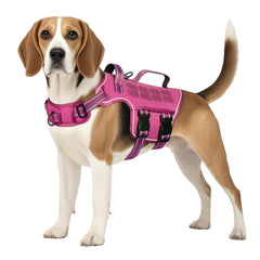 RunFido harnais face avant présentant confort et contrôle