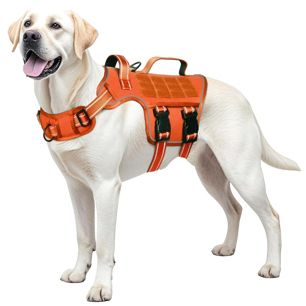 RunFido harnais face avant montrant maintien et confort