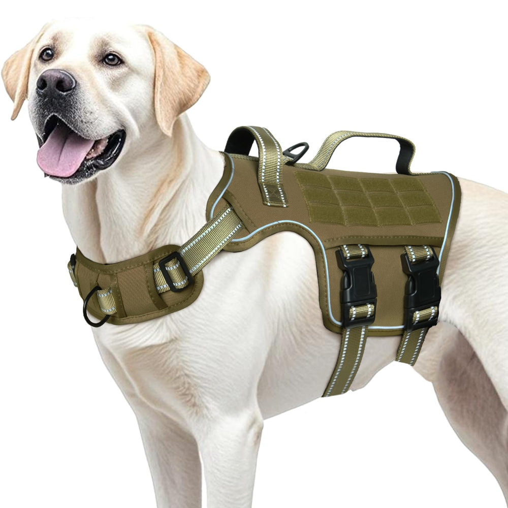 RunFido harnais face avant montrant ajustement et maintien