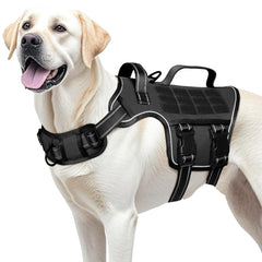 RunFido harnais face avant montrant tenue et ajustement sécurisé