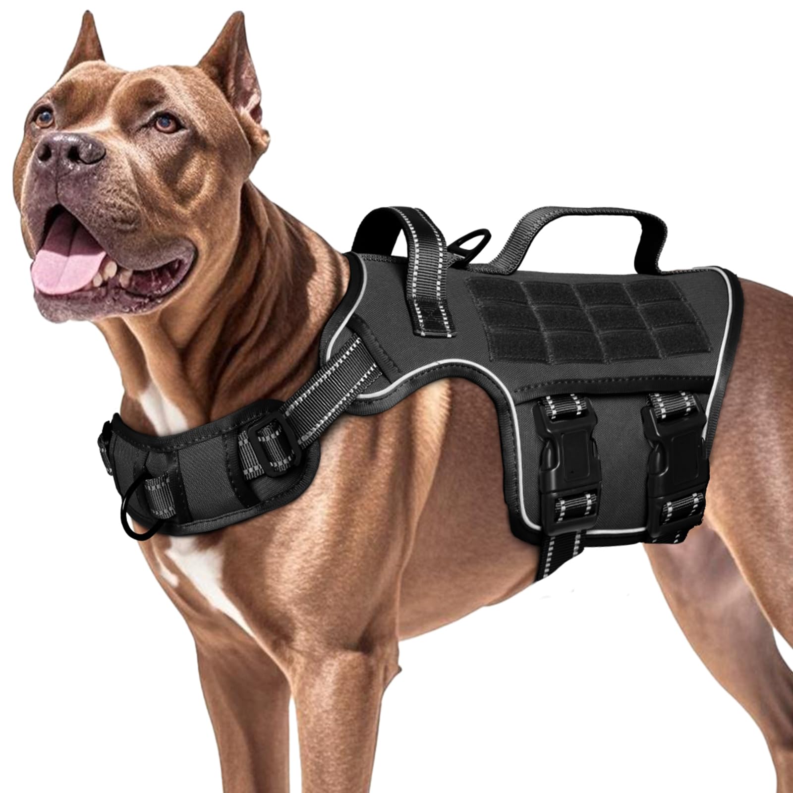 RunFido harnais en randonnée illustrant durabilité et confort extérieur