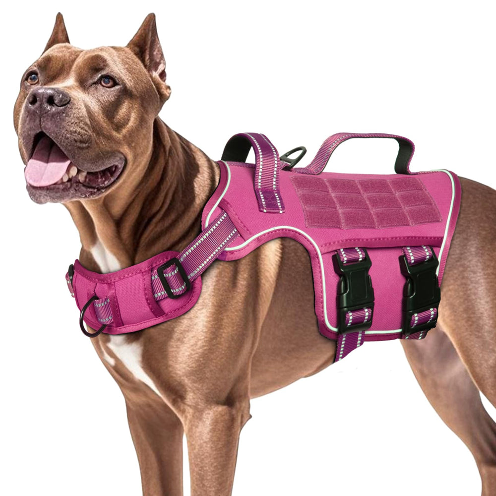RunFido harnais en randonnée démontrant durabilité et ajustement