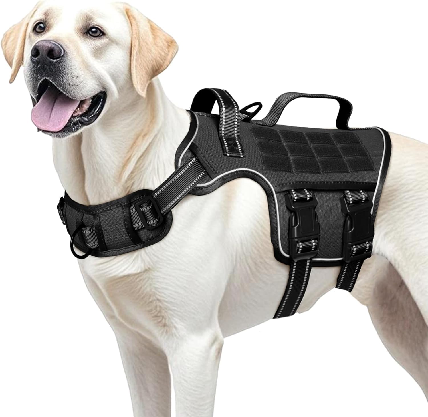 RunFido bandes réfléchissantes visibles la nuit pour sécurité