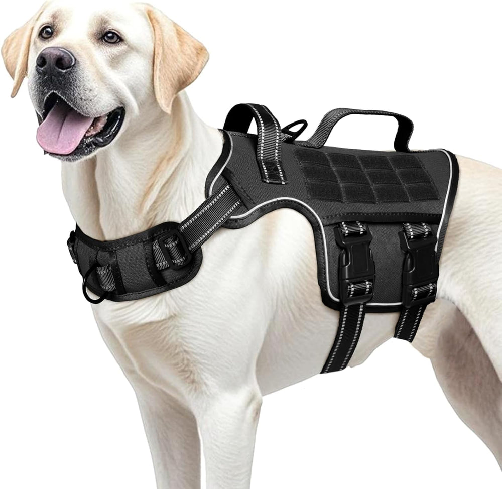 RunFido bandes réfléchissantes visibles la nuit pour sécurité