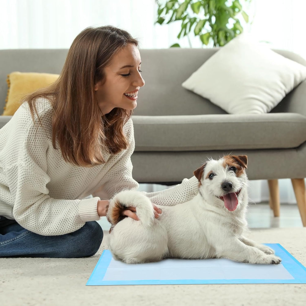 Runivor pack de 100 tapis illustrant stock pratique pour la maison