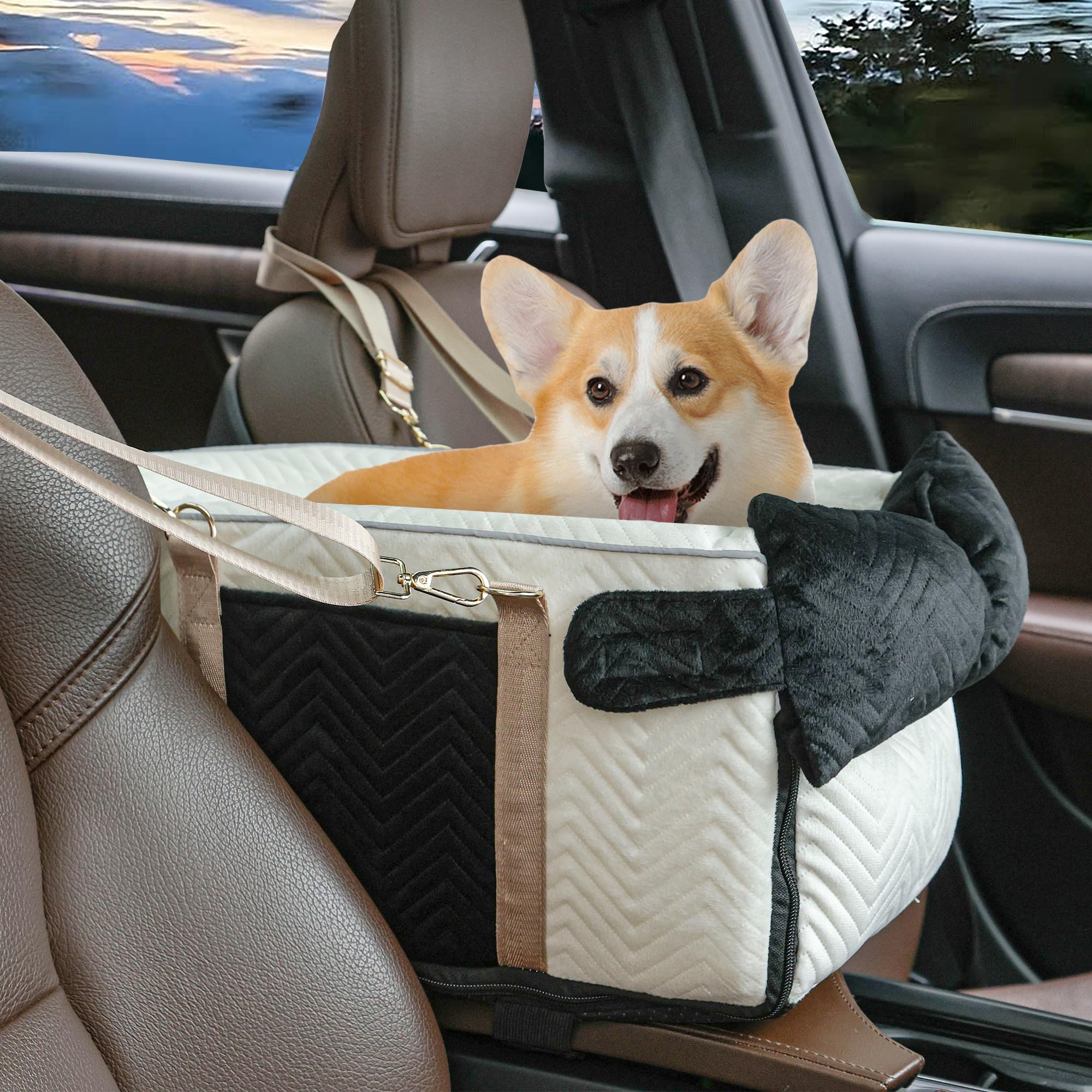 RUONARIER mise en situation dans une voiture familiale illustrant usage quotidien