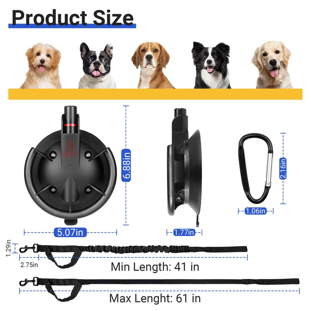Ruppence ventouse en usage dans douche facilitant le bain du chien