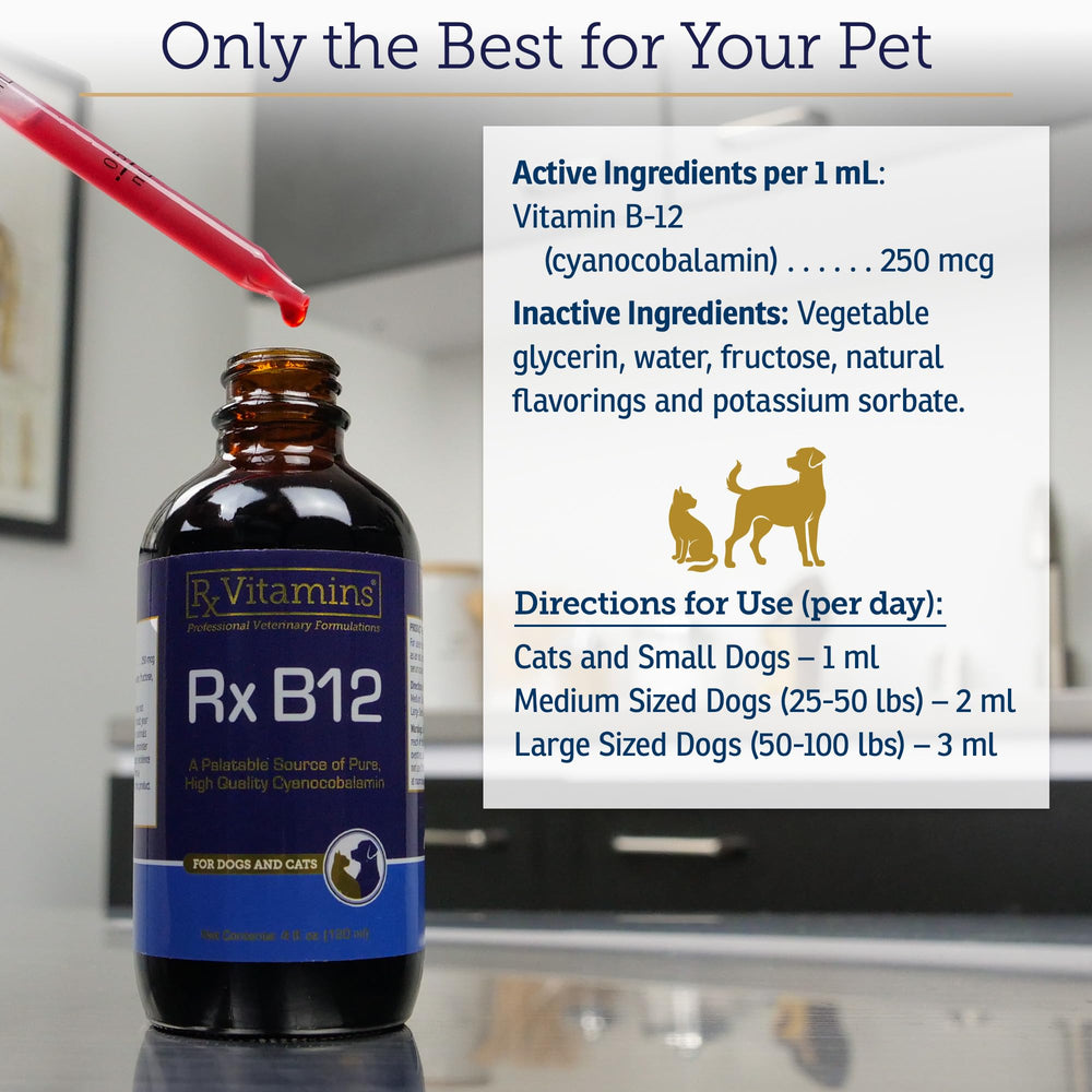 RX Vitamins administration à un chien simplifiant supplémentation et énergie