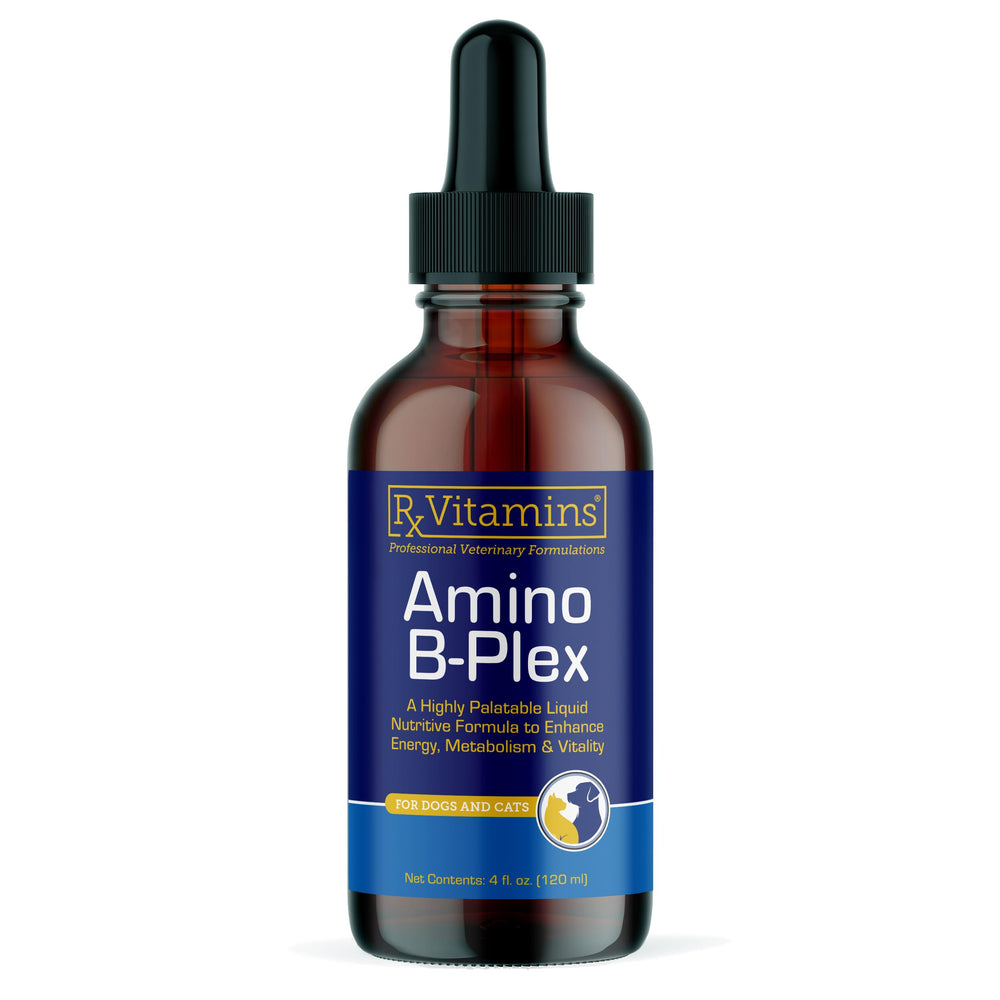 Rx Vitamins flacon avant montrant emballage et dosage facile
