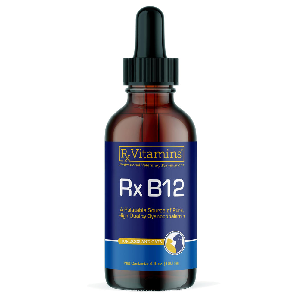 RX Vitamins flacon avant montrant l'étiquette claire et la confiance vétérinaire