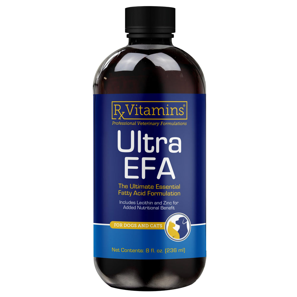 Rx Vitamins bouteille face montrant emballage et dosage bénéfique