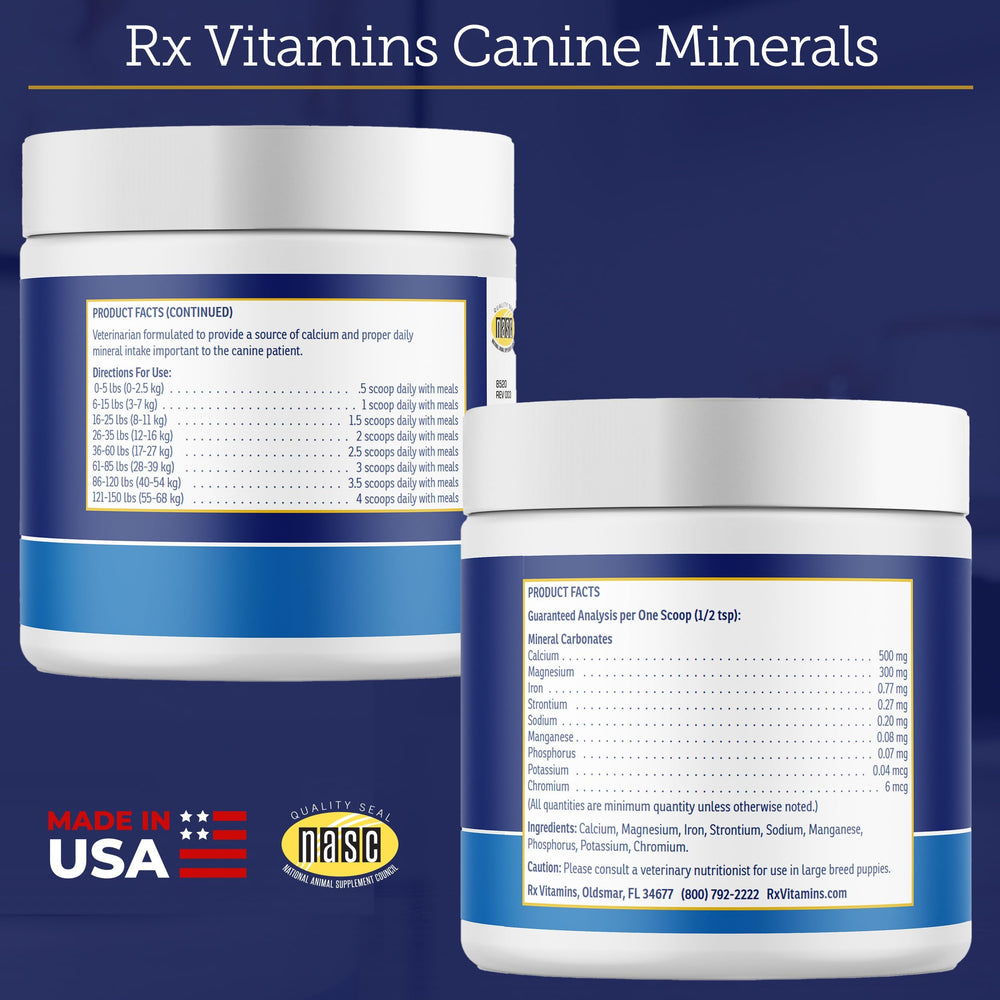 Rx Vitamins pot à côté d'une main pour visualiser la taille du conditionnement