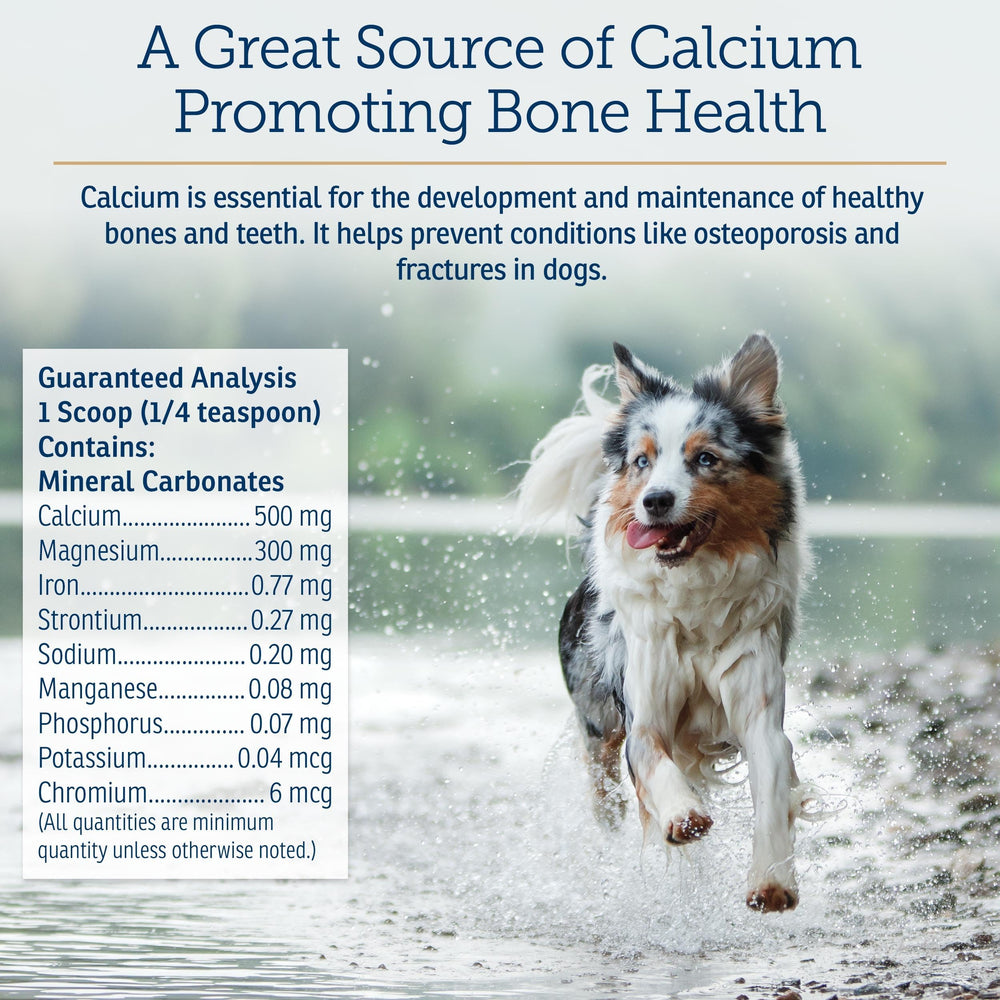 Rx Vitamins doseur illustrant dosage contrôlé adapté au poids du chien
