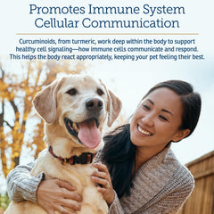 Chat actif après complément Rx Vitamins CurcuWIN illustrant confort et mobilité