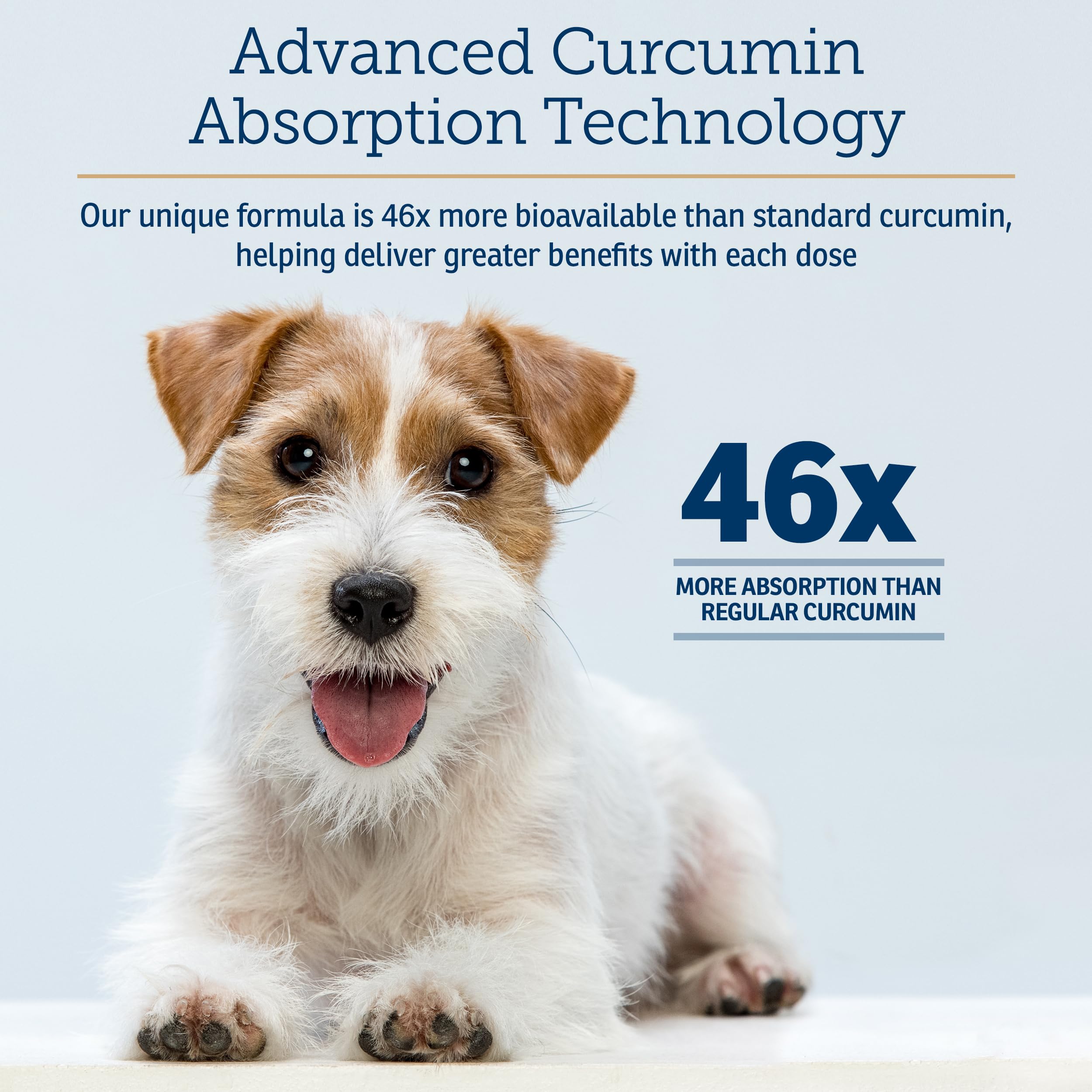Comprimé mastiquable Rx Vitamins CurcuWIN tenu en main pour administration simple