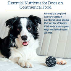 Rx Vitamins poudre saupoudrée sur croquettes pour acceptation alimentaire