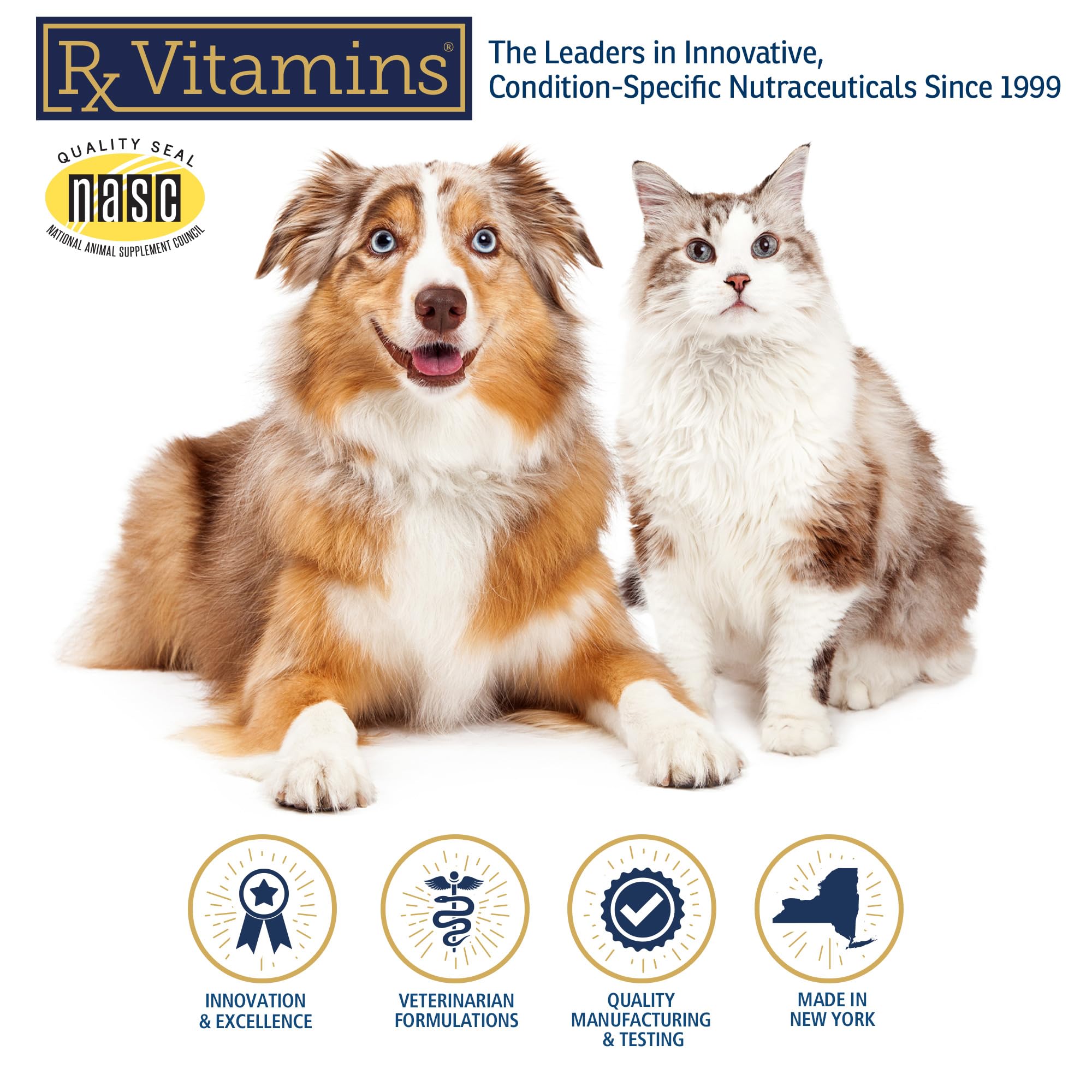 Rx Vitamins NutriCalm scène de vie salon chien détendu après administration