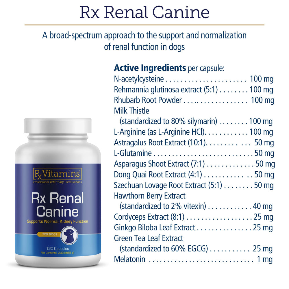 Étiquette Rx Renal de Rx Vitamins lisible pour vérifier ingrédients et recommandations