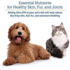 Rx Vitamins texture huile sur cuillère montrant consistance absorbable