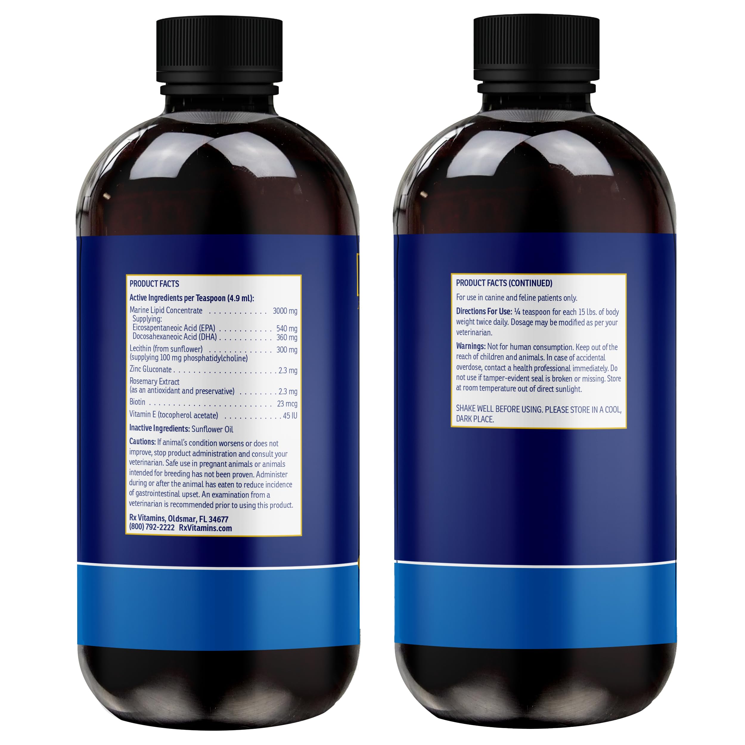 Chien actif bénéficiant de Rx Vitamins Ultra EFA pour mobilité et vitalité