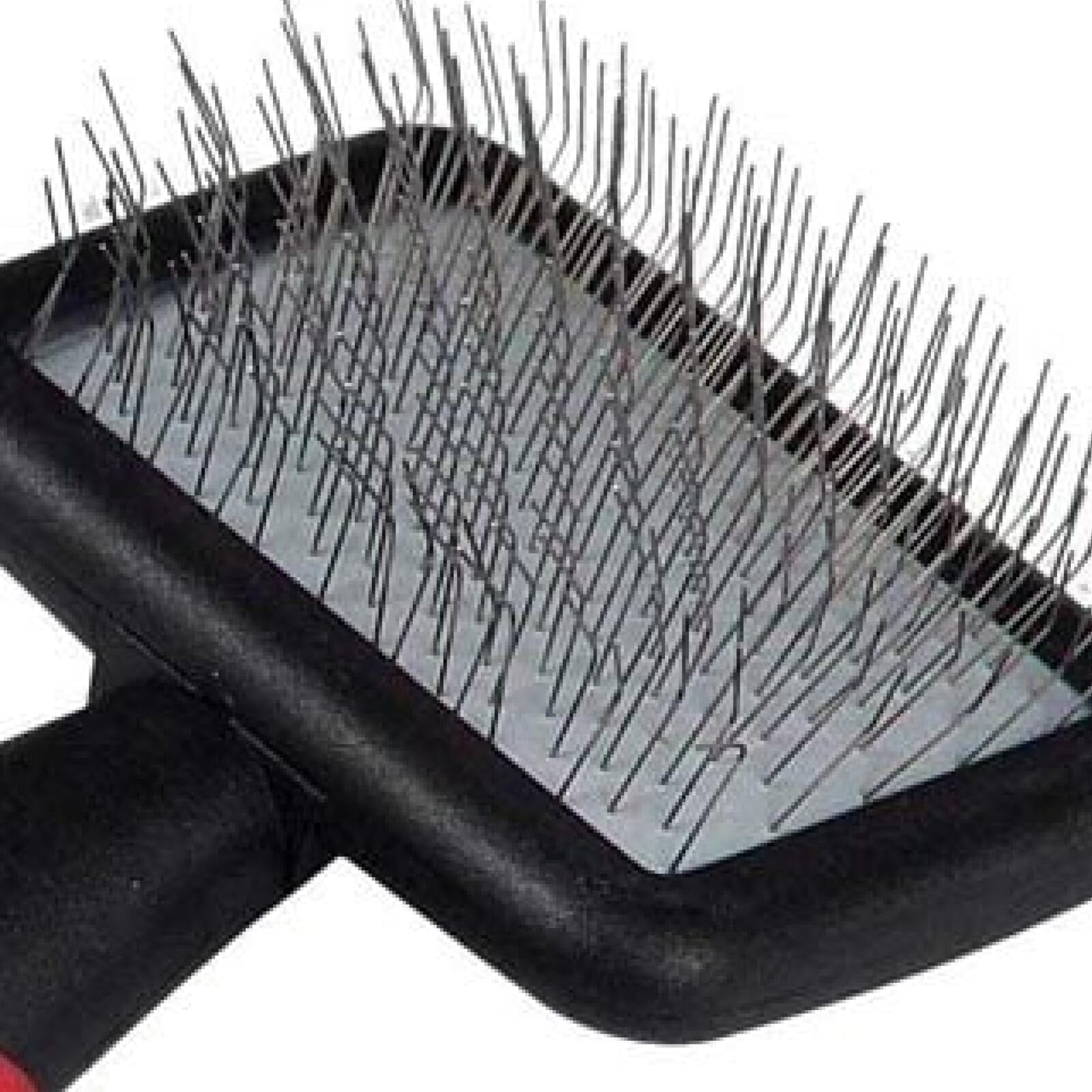 Ryan's Pet Supplies brosse en usage sur un petit chien pour entretien précis