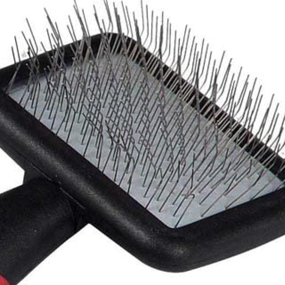 Ryan's Pet Supplies brosse en usage sur un petit chien pour entretien précis