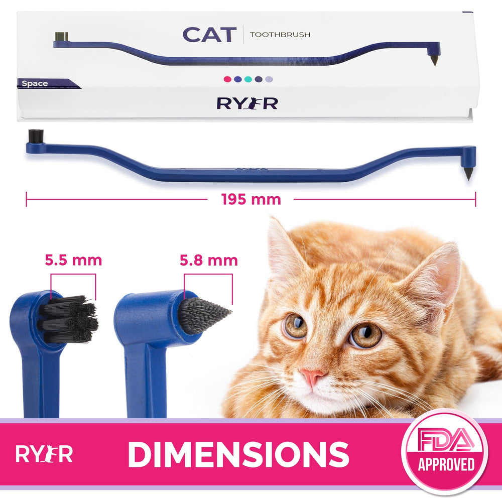 RYERCAT scène lifestyle chat brossé par propriétaire pour démontrer usage simple