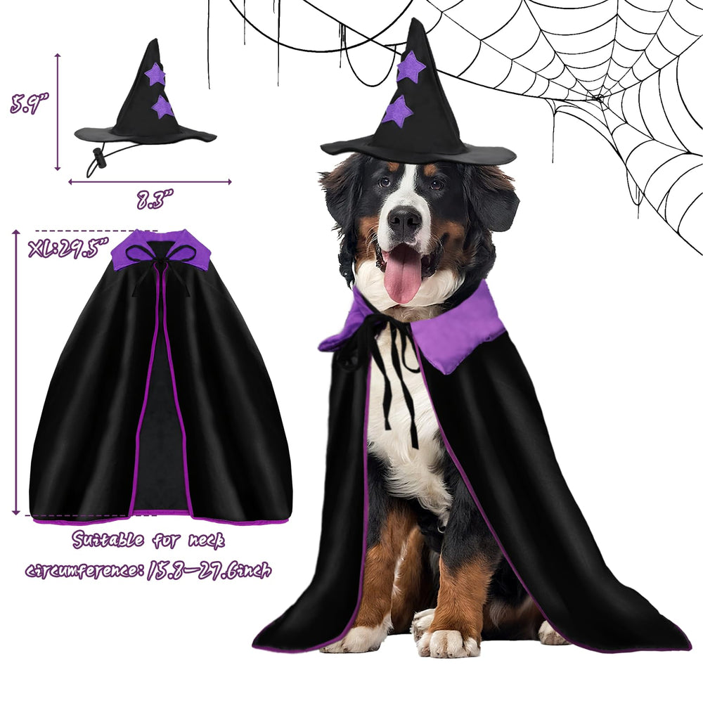 Rypet chien porte costume en extérieur pour photos festives