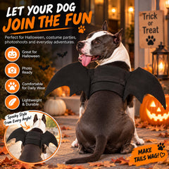 Rypet costume porté sur chien démontrant facilité d'enfilage