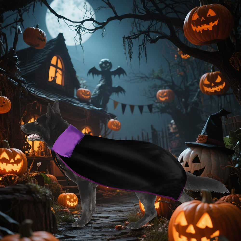 Rypet famille en Halloween avec chien costumé créant ambiance