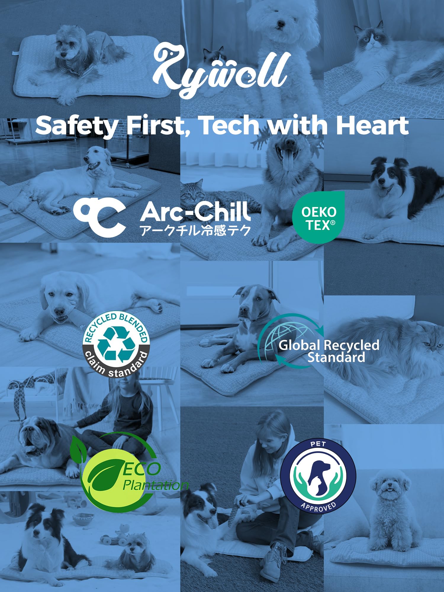 Rywell comparaison d'échelle avec chien pour visualiser la taille