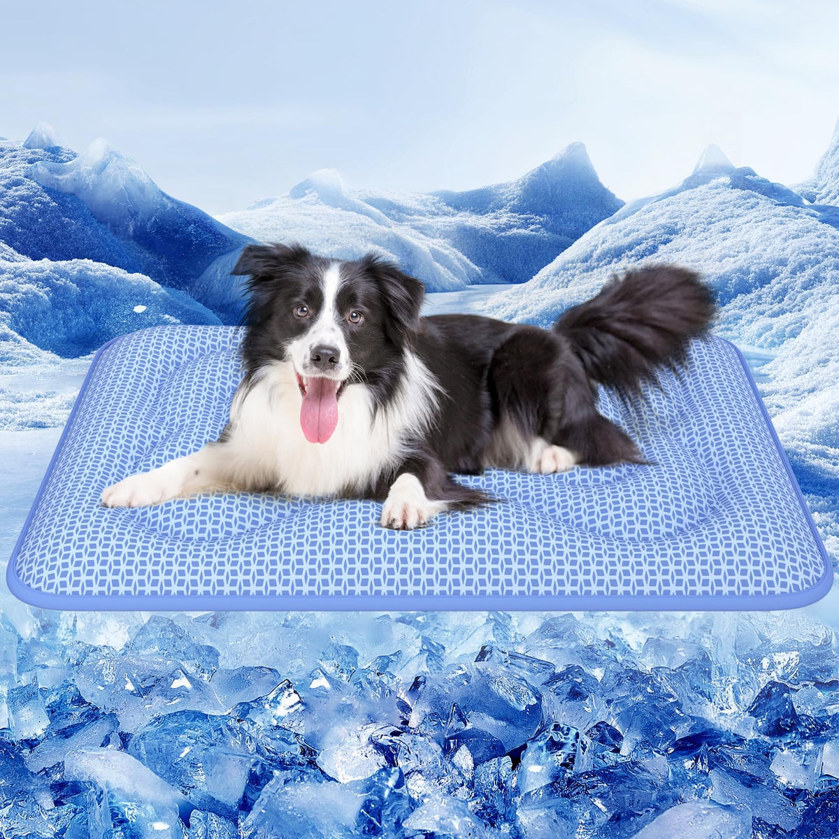 Rywell tapis face avant montrant packaging et taille, facilité d'installation