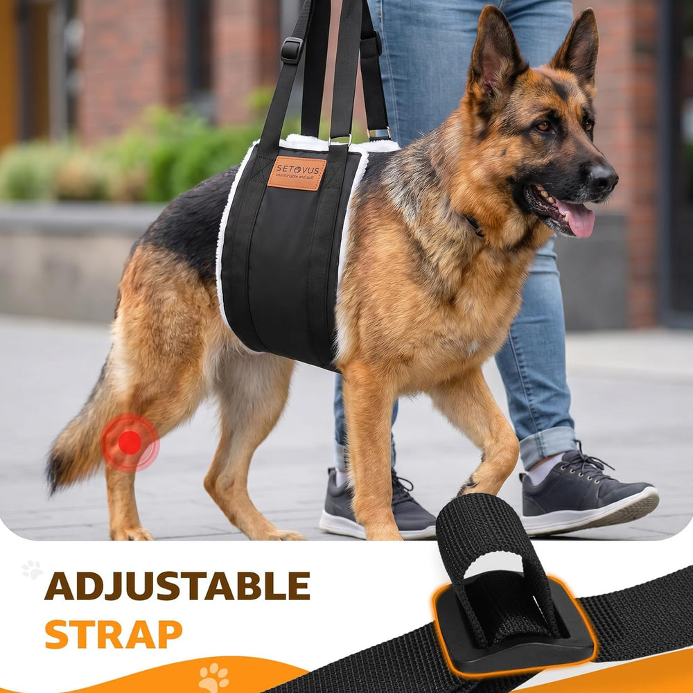 S-ETOVUS chien montant escaliers soutenu pour déplacements plus stables