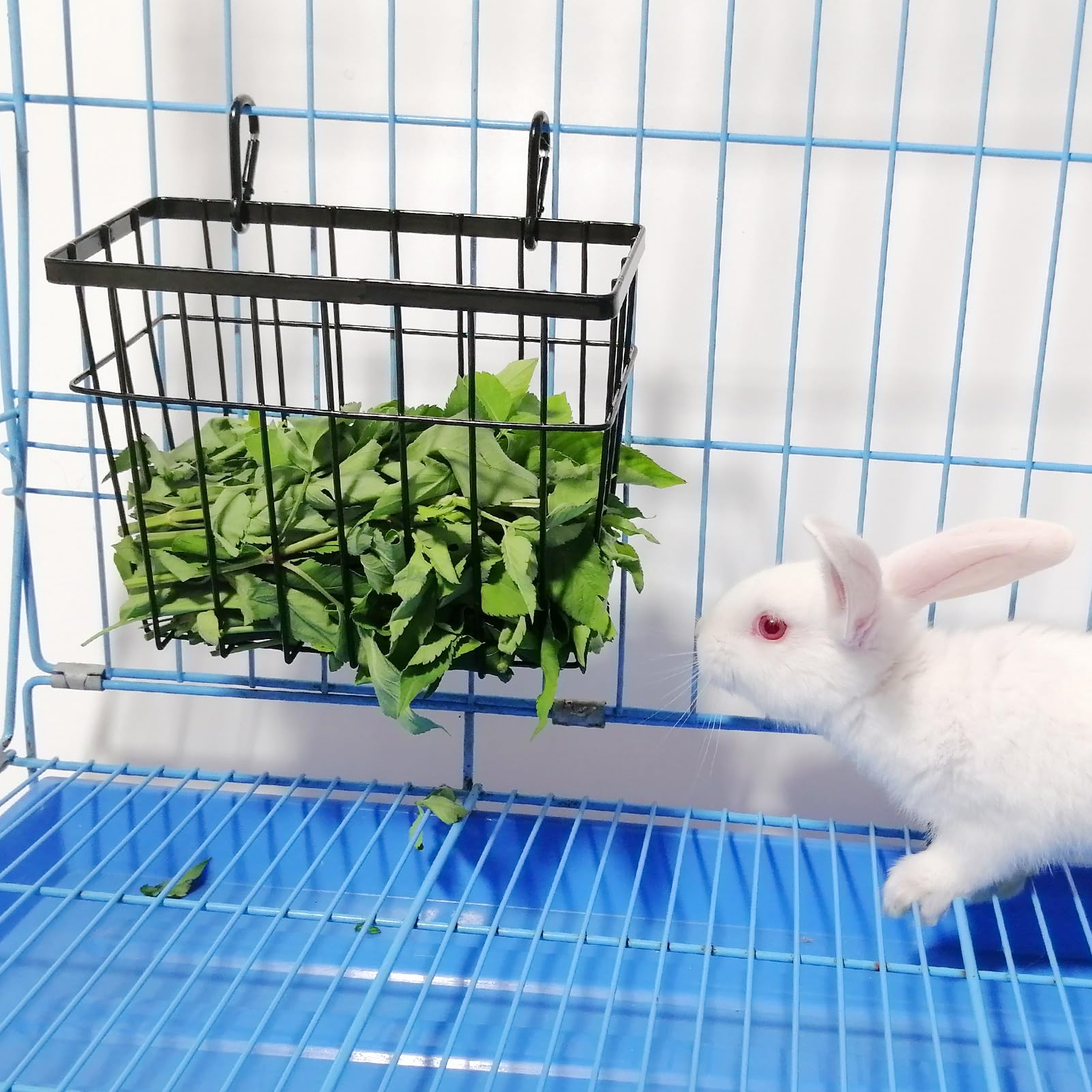 S SANGLE SOPFFY gros plan acier antirouille garantissant durabilité
