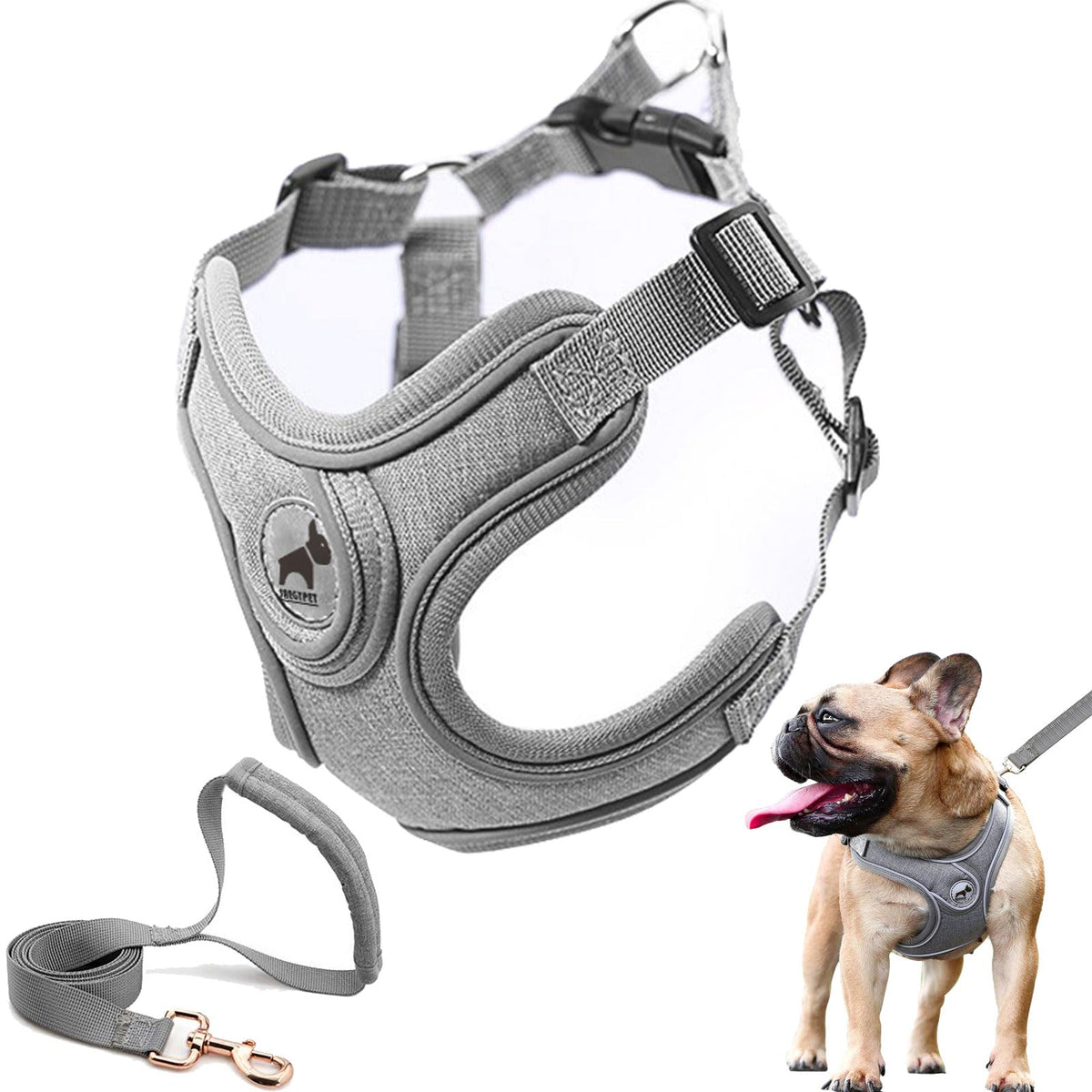 SAEGYPET vue avant du gilet harnais, maintien confortable et sûr