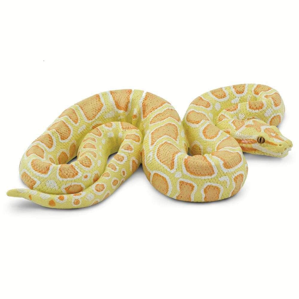 Safari Ltd. vue avant du python birman albinos montrant réalisme et posture précise