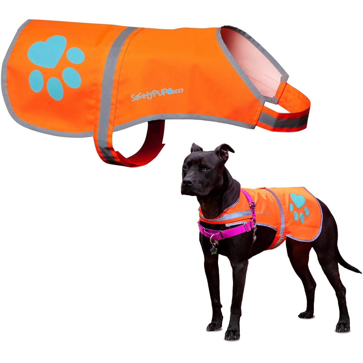 SafetyPUP XD vue avant du gilet blaze orange pour visibilité accrue