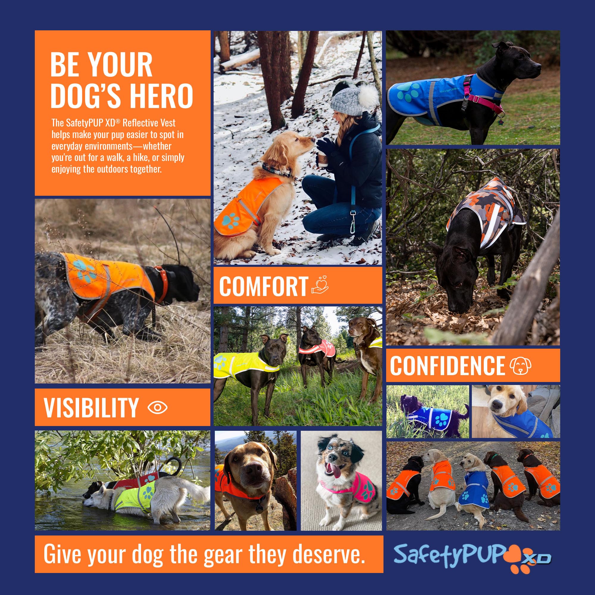 SafetyPUP XD gilet en usage lors d'une promenade assurant sécurité active